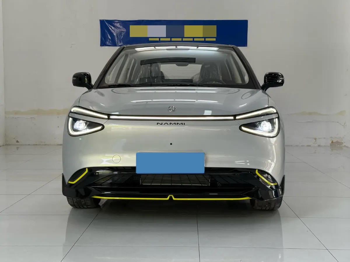 2024 DongFeng eπ 01 BEV 42.3KWH,autocango,china used car exporter,china ev exporter,chinese used car exporter,chinese used ev exporter