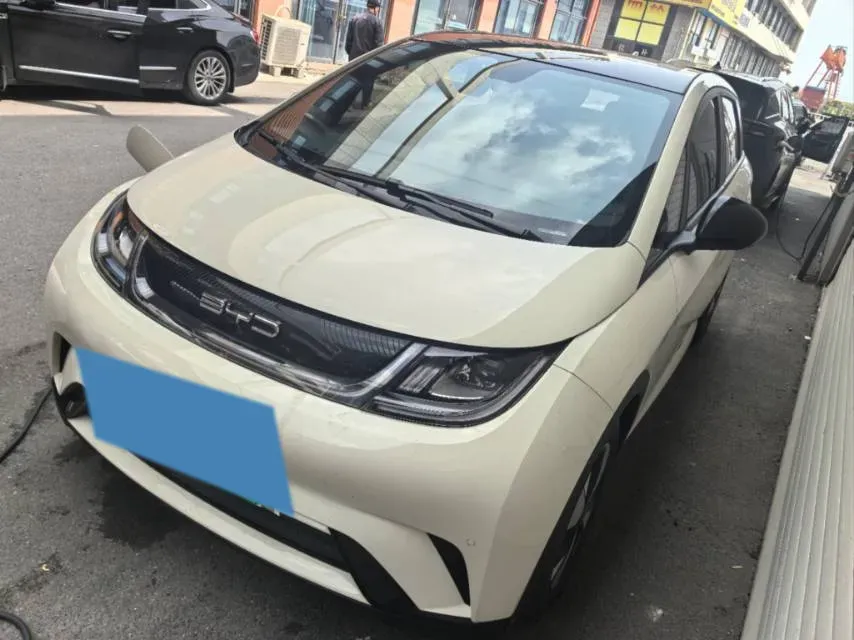 2023 BYD Dolphin BEV 44.928KWH,autocango,china used car exporter,china ev exporter,chinese used car exporter,chinese used ev exporter