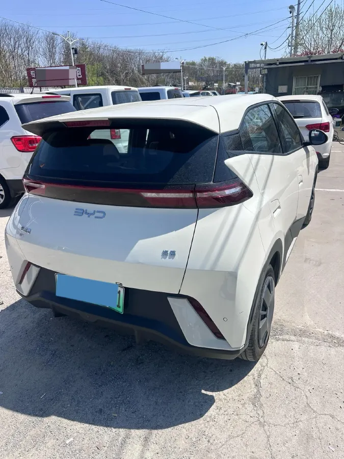 2024 BYD Seagull BEV 30.08KWH,autocango,china used car exporter,china ev exporter,chinese used car exporter,chinese used ev exporter