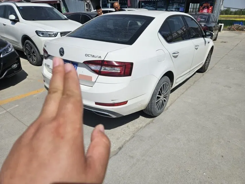 2018 Skoda Octavia 1.2T 116HP L4 7DCT,autocango,china used car exporter,china ev exporter,chinese used car exporter,chinese used ev exporter