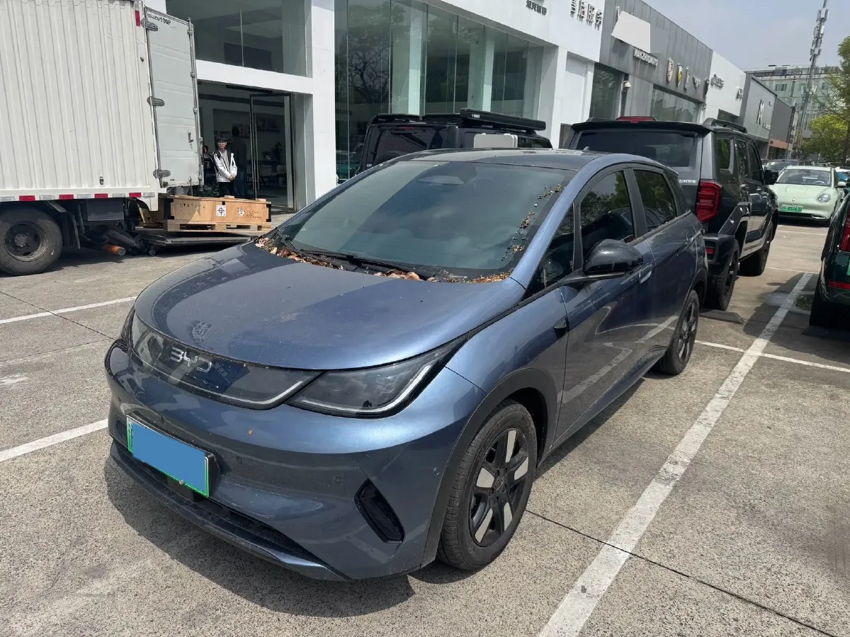 2025 BYD Dolphin BEV 45.12KWH,autocango,china used car exporter,china ev exporter,chinese used car exporter,chinese used ev exporter