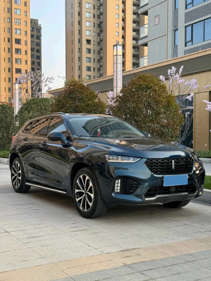 2019 WEY VV7 2.0T 234HP L4 7DCT,autocango,china used car exporter,china ev exporter,chinese used car exporter,chinese used ev exporter