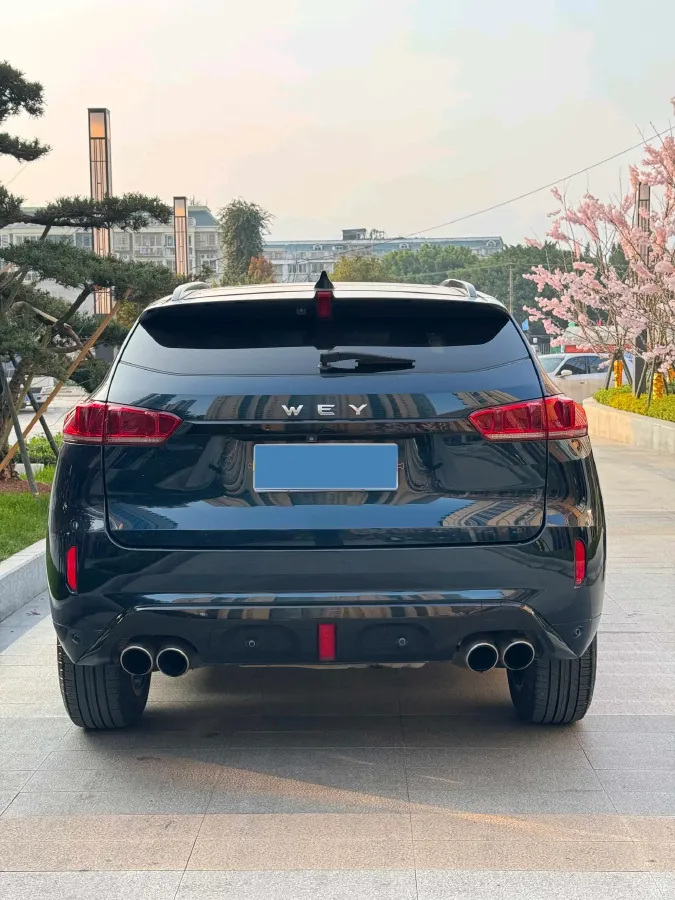 2019 WEY VV7 2.0T 234HP L4 7DCT,autocango,china used car exporter,china ev exporter,chinese used car exporter,chinese used ev exporter