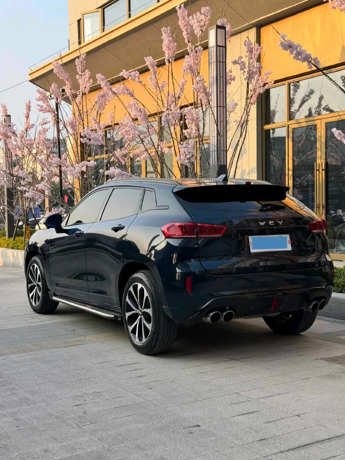 2019 WEY VV7 2.0T 234HP L4 7DCT,autocango,china used car exporter,china ev exporter,chinese used car exporter,chinese used ev exporter