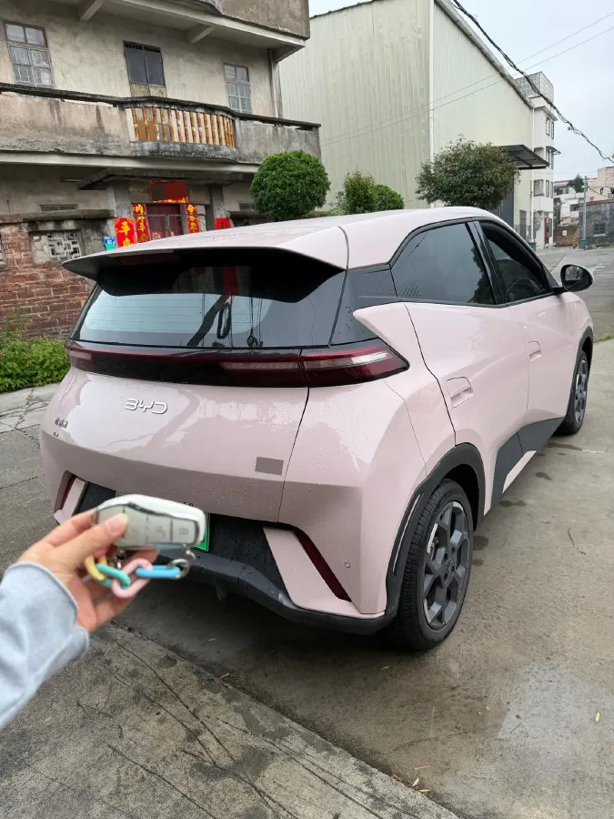 2023 BYD Seagull BEV 30.08KWH,autocango,china used car exporter,china ev exporter,chinese used car exporter,chinese used ev exporter