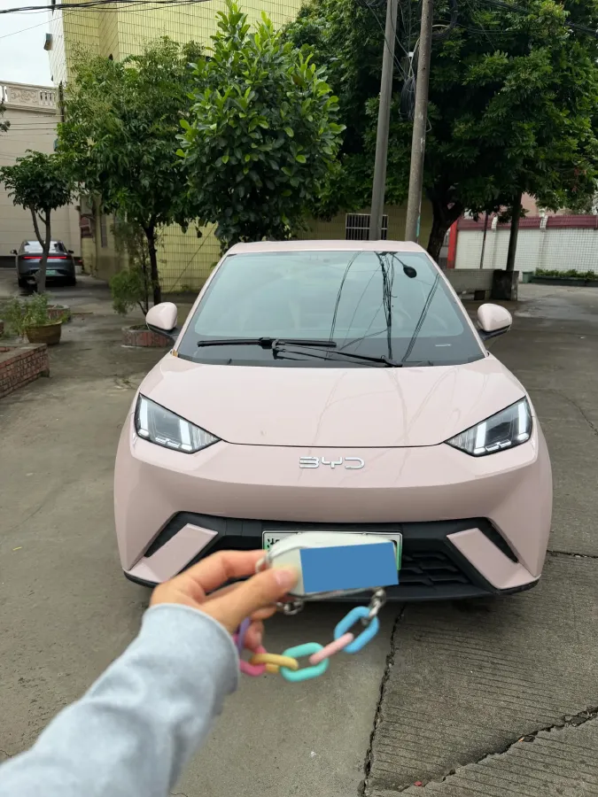 2023 BYD Seagull BEV 30.08KWH,autocango,china used car exporter,china ev exporter,chinese used car exporter,chinese used ev exporter