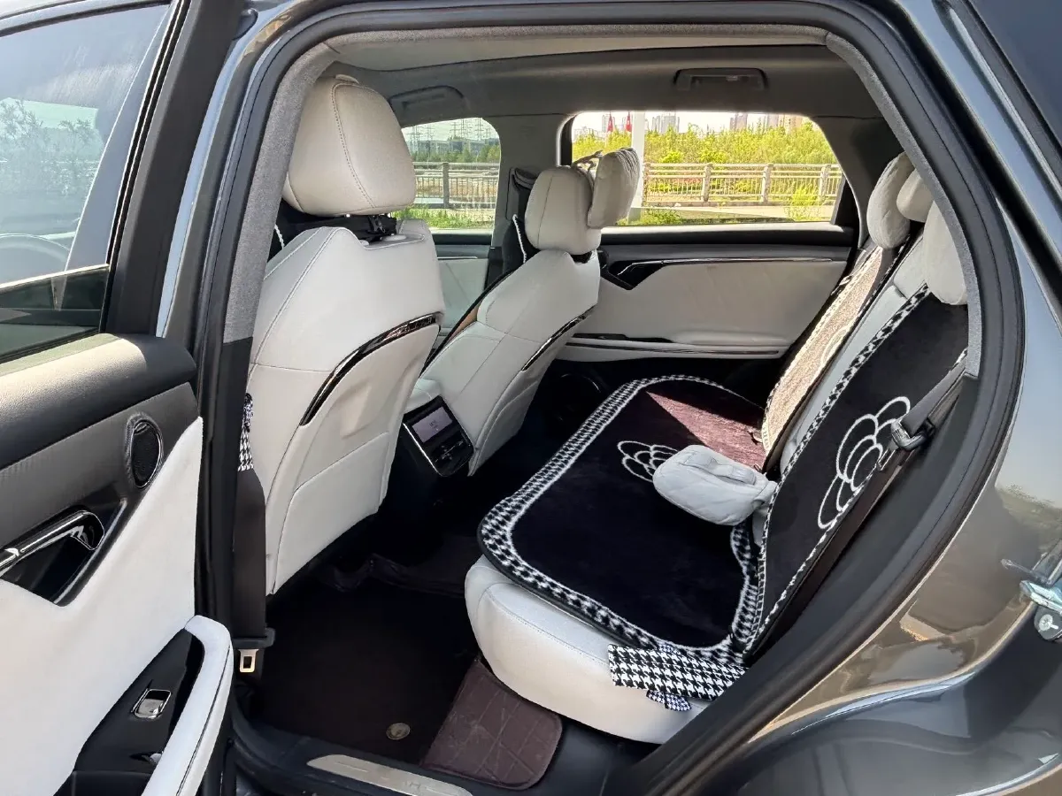 2025 Voyah FREE 1.5T 150HP L4 REEV 43KWH,autocango,china used car exporter,china ev exporter,chinese used car exporter,chinese used ev exporter