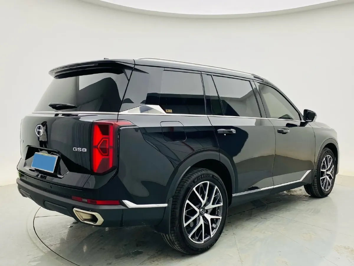 2024 GAC Trumpchi GS8 2.0T 252HP L4 8AT,autocango,china used car exporter,china ev exporter,chinese used car exporter,chinese used ev exporter