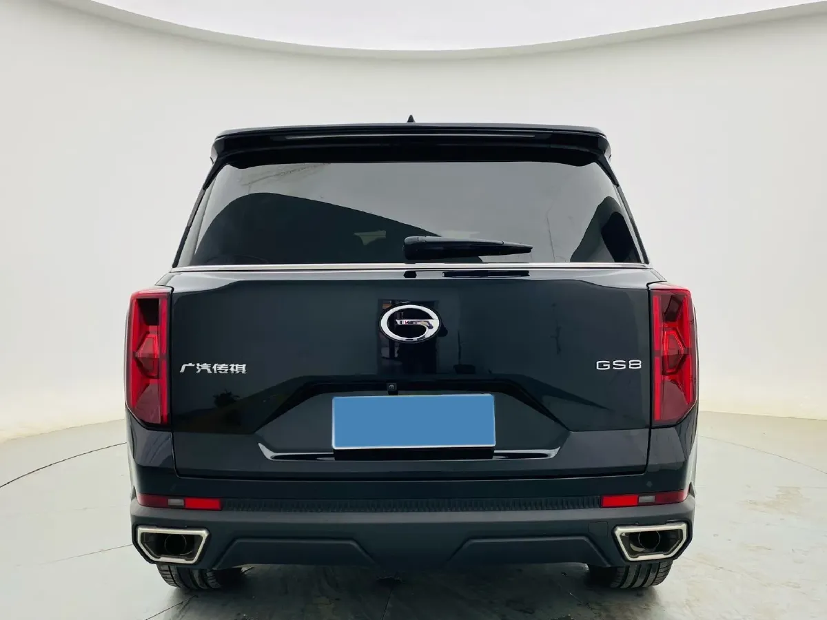2024 GAC Trumpchi GS8 2.0T 252HP L4 8AT,autocango,china used car exporter,china ev exporter,chinese used car exporter,chinese used ev exporter