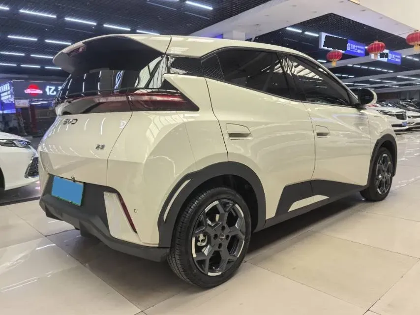 2025 JMC BaoDian 2.5T 160HP L4 8AT,autocango,china used car exporter,china ev exporter,chinese used car exporter,chinese used ev exporter