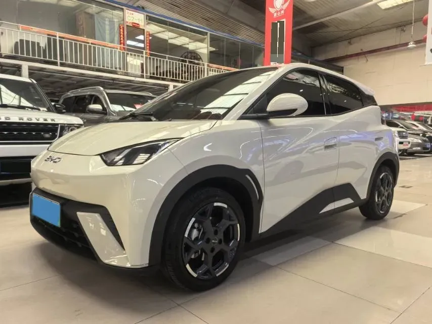 2025 JMC BaoDian 2.5T 160HP L4 8AT,autocango,china used car exporter,china ev exporter,chinese used car exporter,chinese used ev exporter