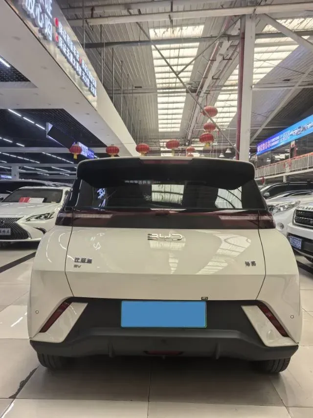 2025 JMC BaoDian 2.5T 160HP L4 8AT,autocango,china used car exporter,china ev exporter,chinese used car exporter,chinese used ev exporter