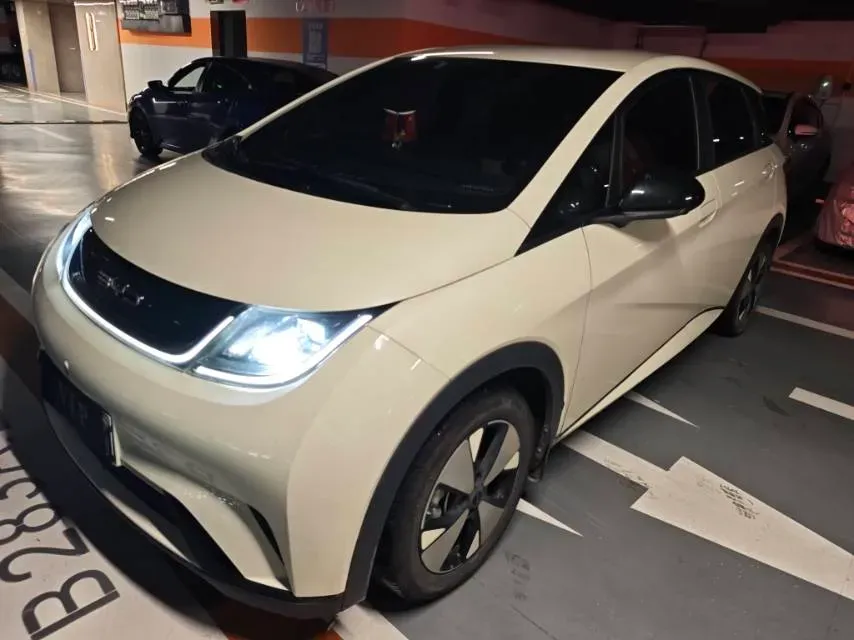 2023 BYD Dolphin BEV 44.928KWH,autocango,china used car exporter,china ev exporter,chinese used car exporter,chinese used ev exporter