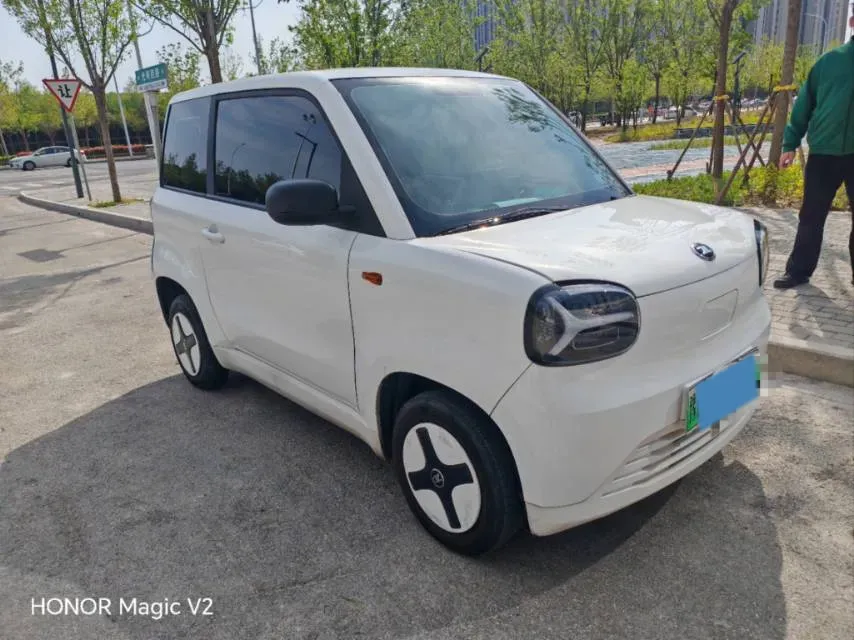 2024 ZD Rainbow BEV 17.3KWH,autocango,china used car exporter,china ev exporter,chinese used car exporter,chinese used ev exporter