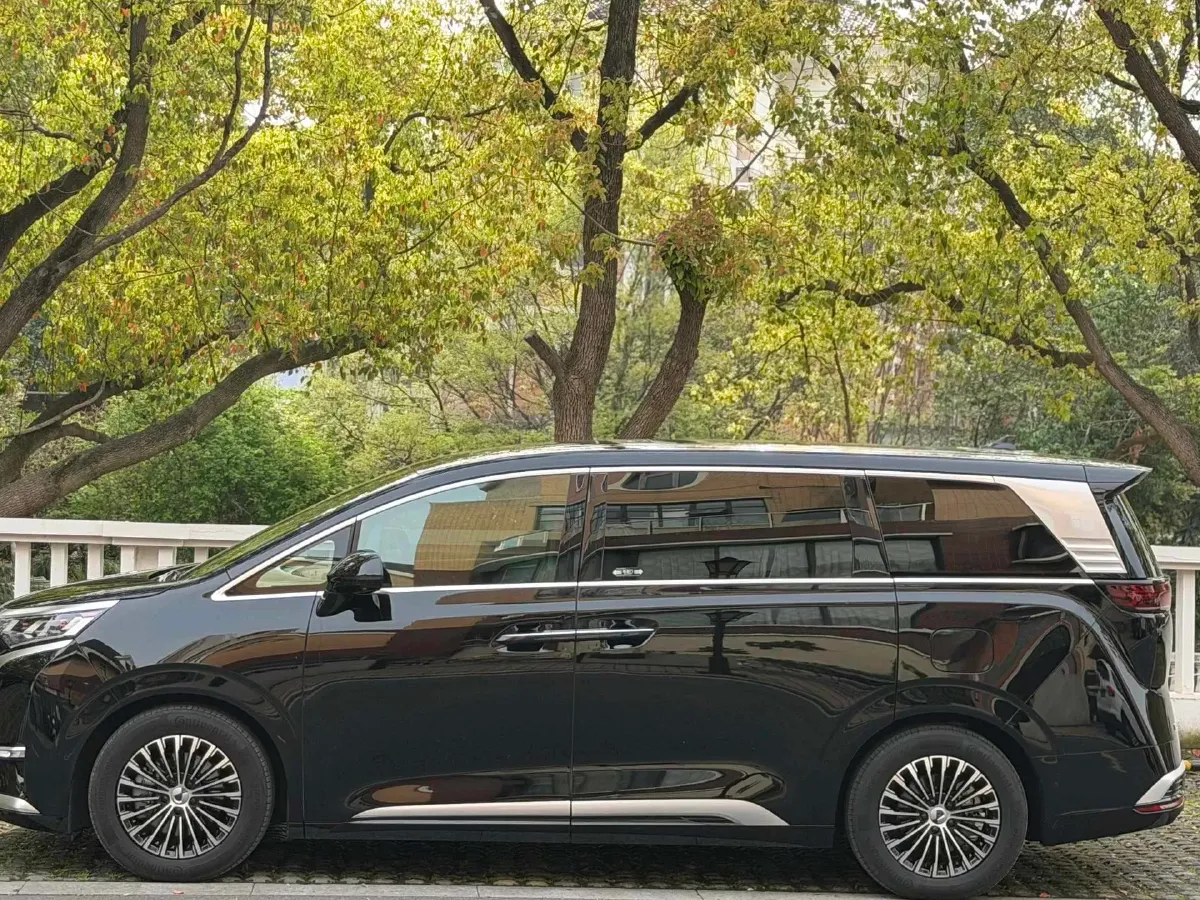 2024 Denza D9 1.5T 139HP L4 E-CVT PHEV 40KWH,autocango,china used car exporter,china ev exporter,chinese used car exporter,chinese used ev exporter