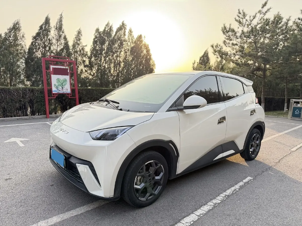 2024 BYD Seagull BEV 30.08KWH,autocango,china used car exporter,china ev exporter,chinese used car exporter,chinese used ev exporter