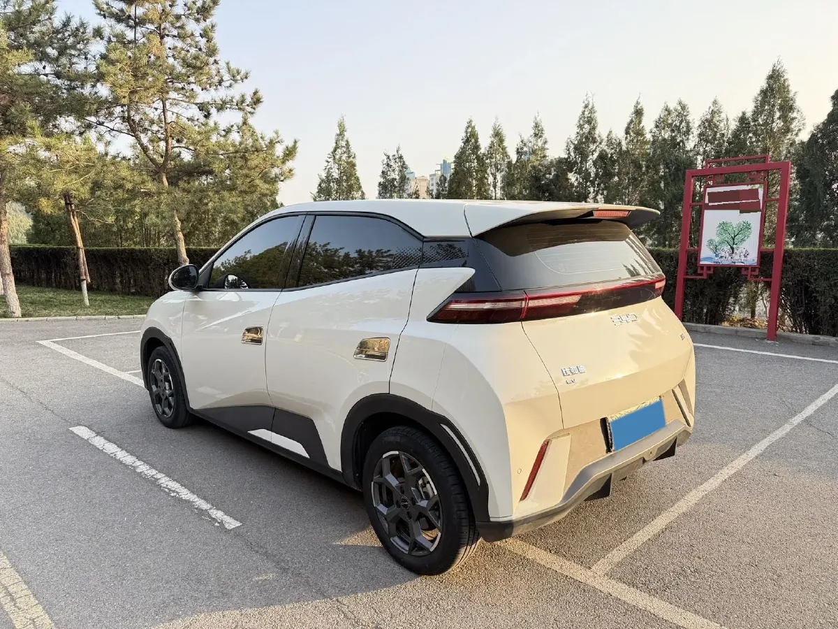 2024 BYD Seagull BEV 30.08KWH,autocango,china used car exporter,china ev exporter,chinese used car exporter,chinese used ev exporter