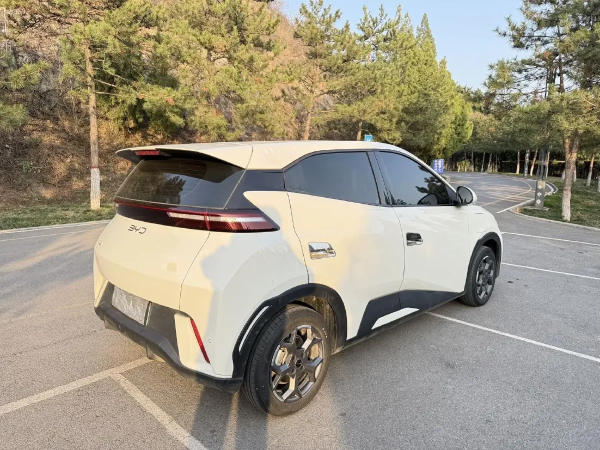 2024 BYD Seagull BEV 30.08KWH,autocango,china used car exporter,china ev exporter,chinese used car exporter,chinese used ev exporter