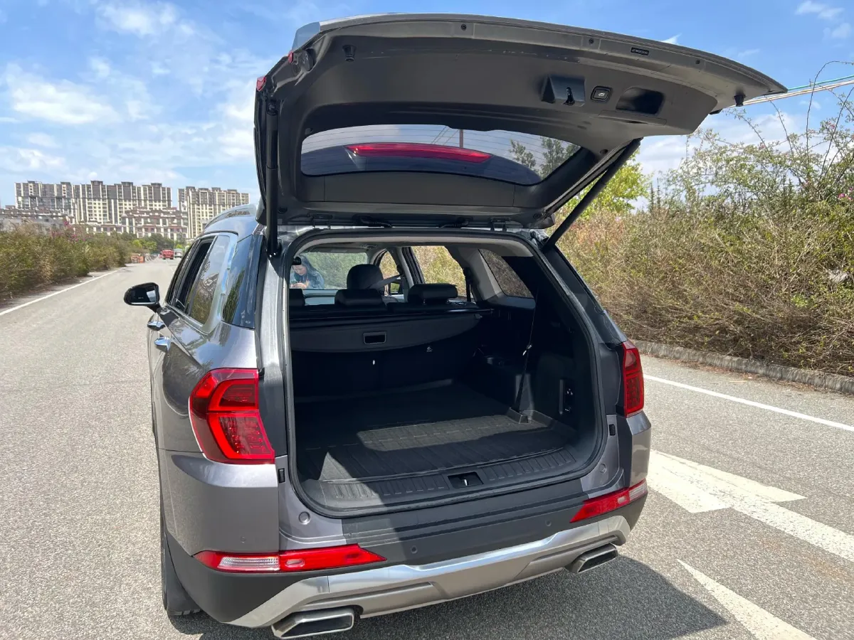 2019 Hyundai Santafe 2.0T 230HP L4 8AT,autocango,china used car exporter,china ev exporter,chinese used car exporter,chinese used ev exporter