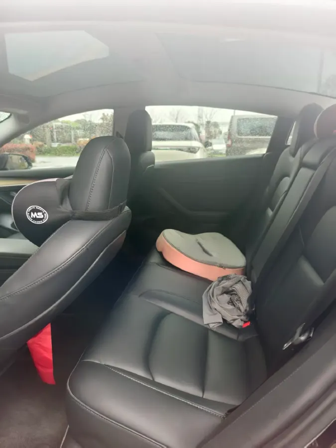 2022 Tesla Model 3 BEV 60KWH,autocango,china used car exporter,china ev exporter,chinese used car exporter,chinese used ev exporter