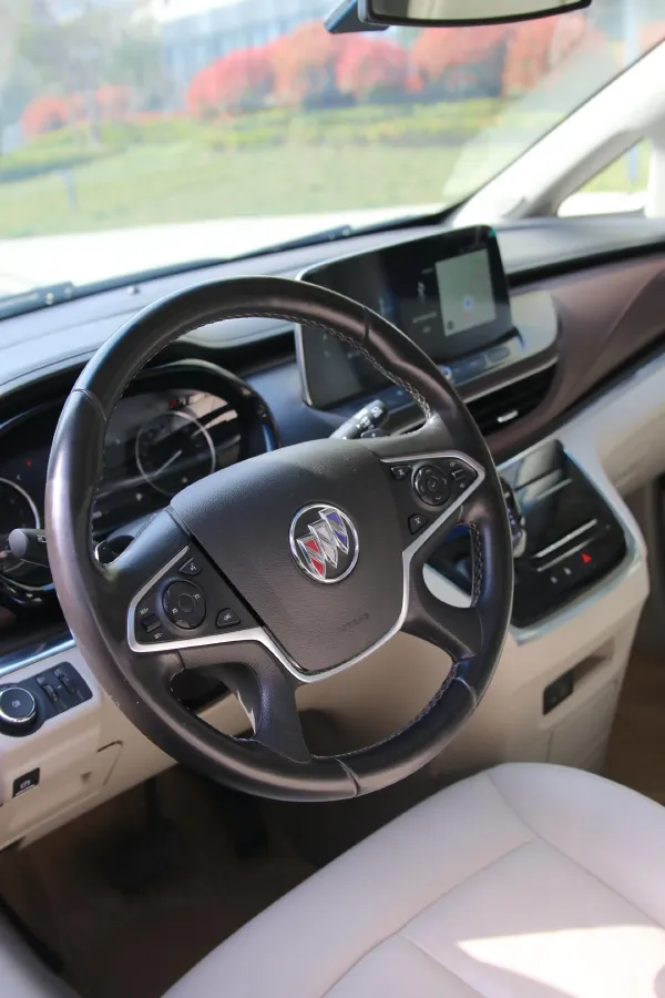 2021 Buick GL8 2.0T 237HP L4 9AT,autocango,china used car exporter,china ev exporter,chinese used car exporter,chinese used ev exporter