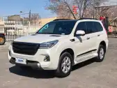 2020 HAVAL H9,autocango,china used car exporter,china ev exporter,chinese used car exporter,chinese used ev exporter