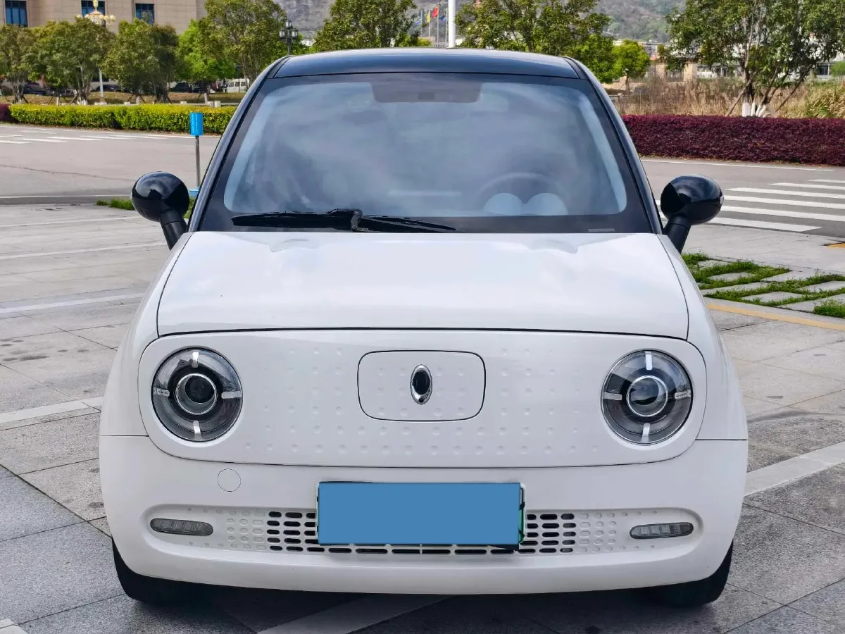 2021 Ora BlackCat BEV 33KWH,autocango,china used car exporter,china ev exporter,chinese used car exporter,chinese used ev exporter