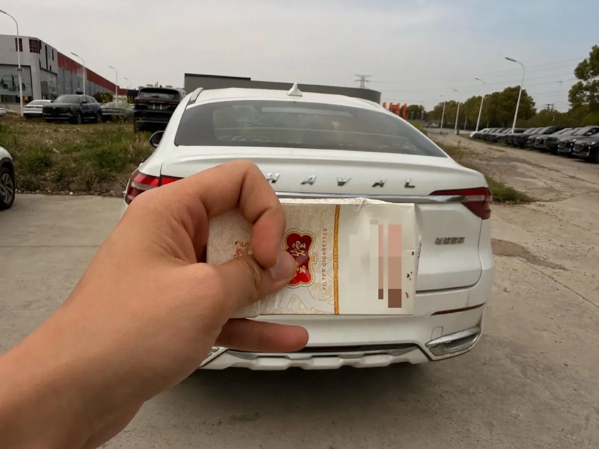 2021 Haval F7x 1.5T 169HP L4 7DCT,autocango,china used car exporter,china ev exporter,chinese used car exporter,chinese used ev exporter