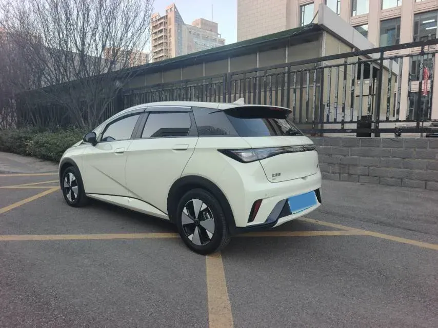 2023 BYD Dolphin BEV 44.928KWH,autocango,china used car exporter,china ev exporter,chinese used car exporter,chinese used ev exporter