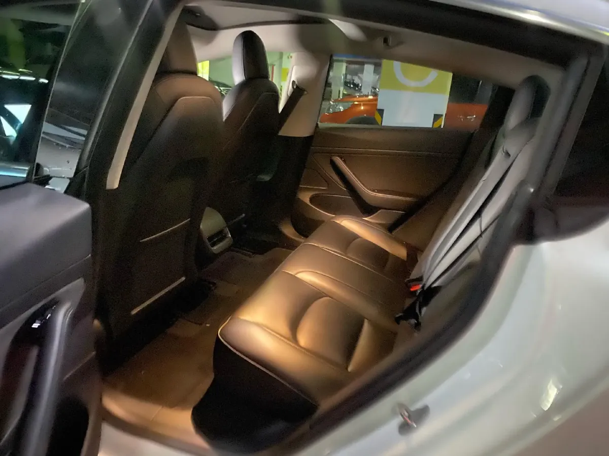 2020 Tesla Model 3 BEV 52KWH,autocango,china used car exporter,china ev exporter,chinese used car exporter,chinese used ev exporter