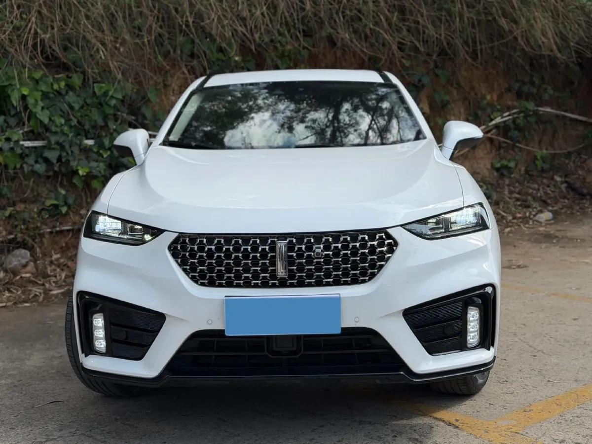2021 WEY VV7 2.0T 227HP L4 7DCT,autocango,china used car exporter,china ev exporter,chinese used car exporter,chinese used ev exporter