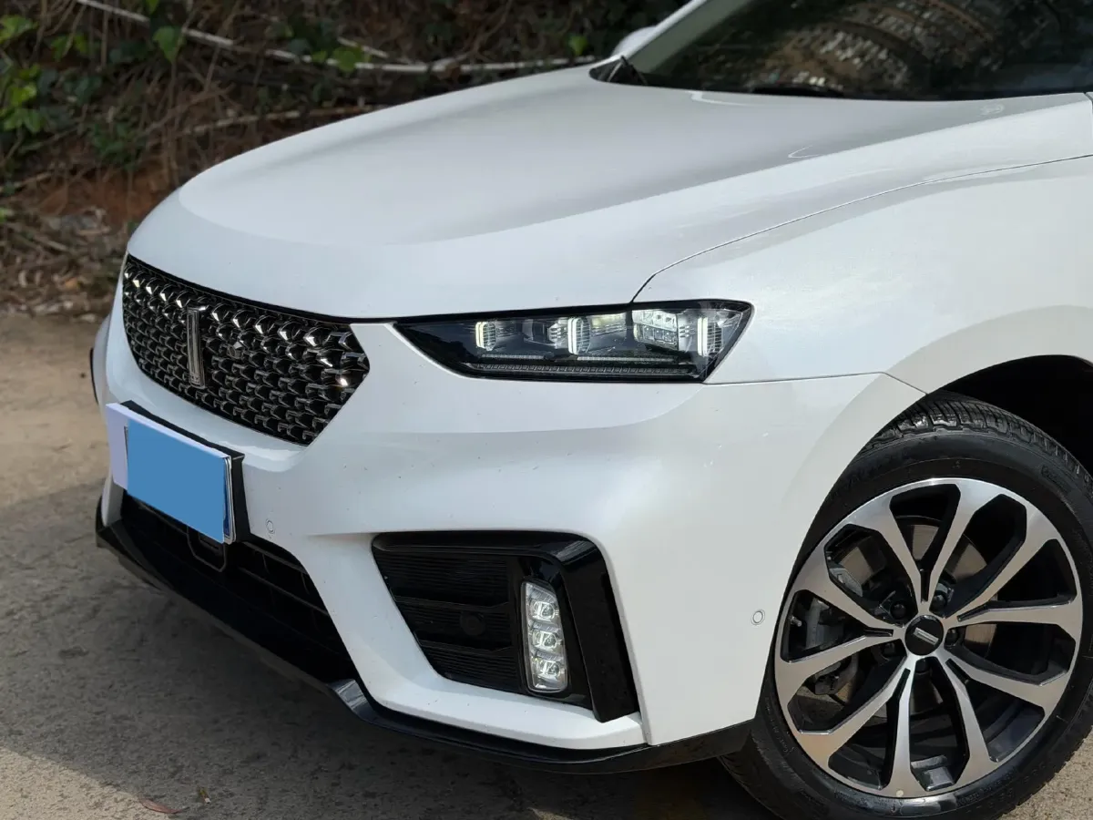 2021 WEY VV7 2.0T 227HP L4 7DCT,autocango,china used car exporter,china ev exporter,chinese used car exporter,chinese used ev exporter