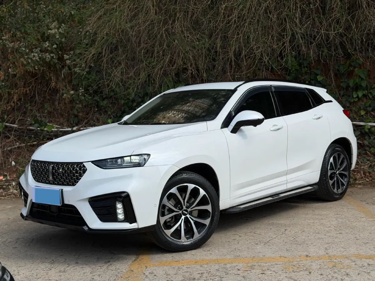 2021 WEY VV7 2.0T 227HP L4 7DCT,autocango,china used car exporter,china ev exporter,chinese used car exporter,chinese used ev exporter