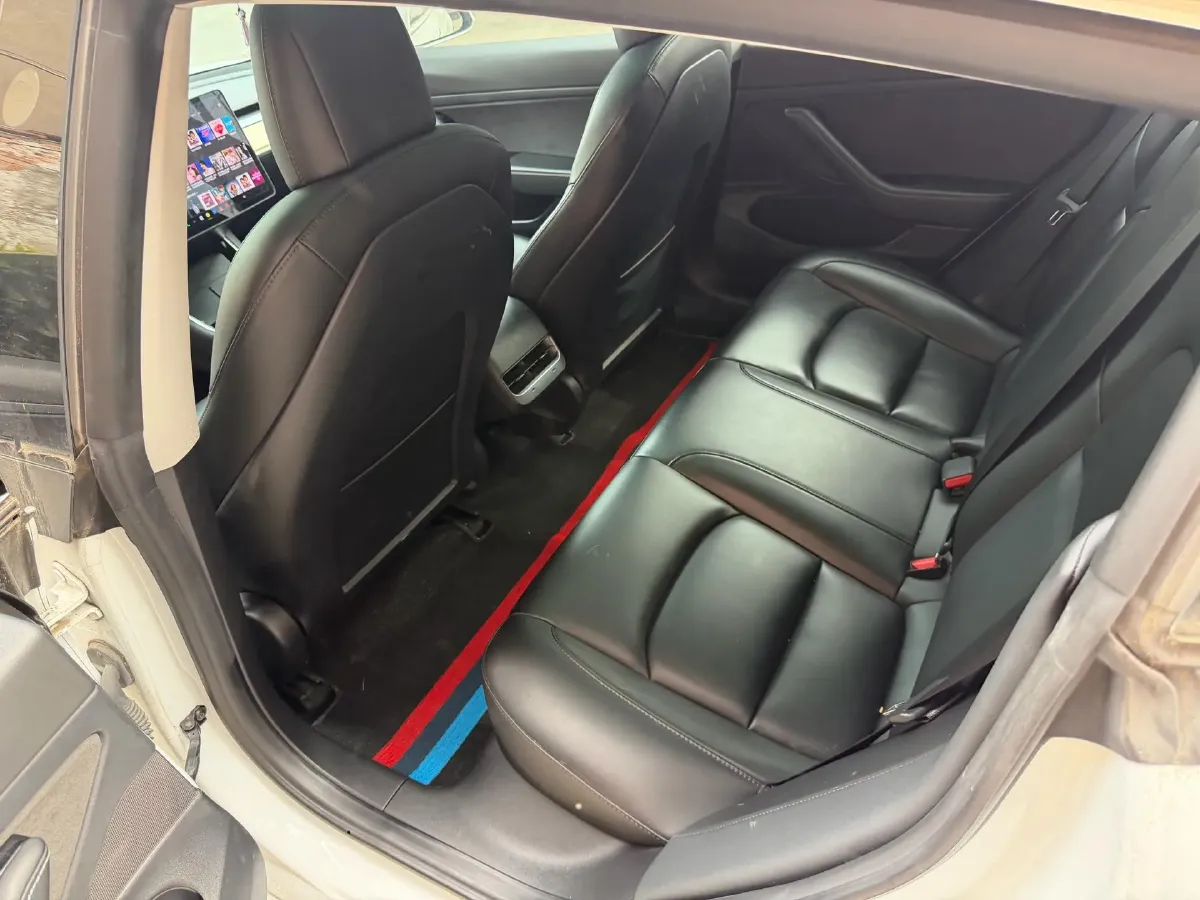 2020 Tesla Model 3 BEV 52KWH,autocango,china used car exporter,china ev exporter,chinese used car exporter,chinese used ev exporter