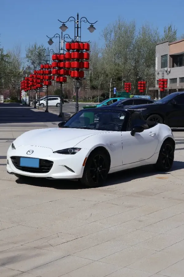 2022 Langsi G20 2.0T 224HP L4 8AT,autocango,china used car exporter,china ev exporter,chinese used car exporter,chinese used ev exporter