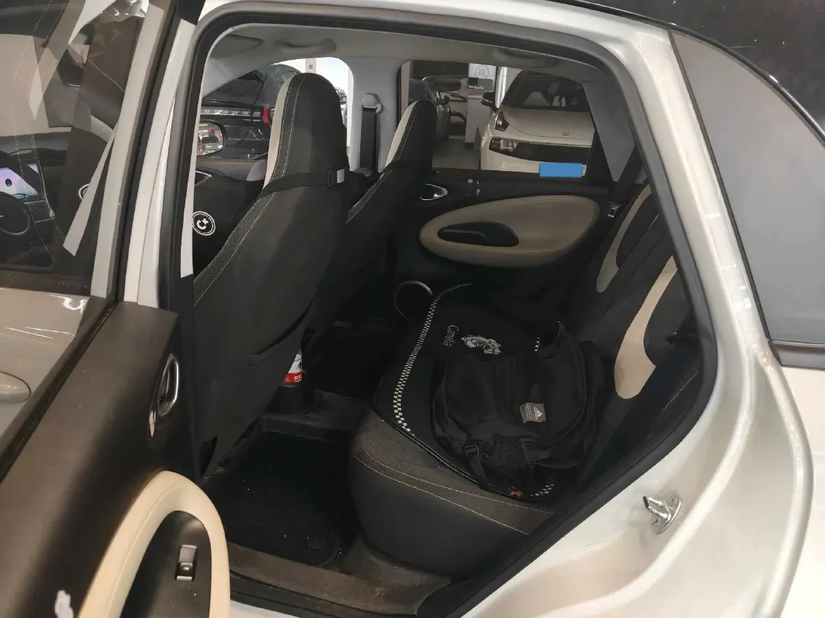 2023 WuLing BinGuo BEV 17.3KWH,autocango,china used car exporter,china ev exporter,chinese used car exporter,chinese used ev exporter