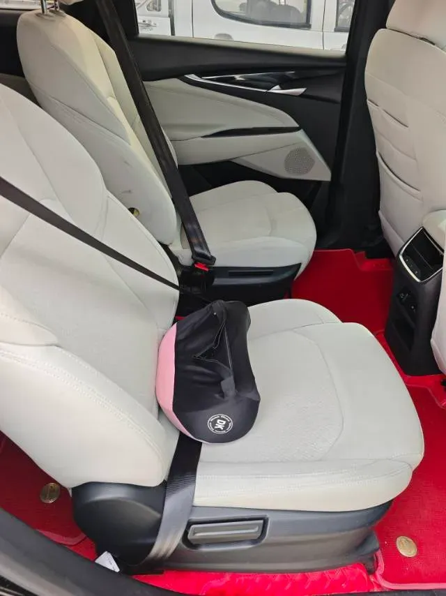 2024 MAXUS G50 1.5T 181HP L4 6MT,autocango,china used car exporter,china ev exporter,chinese used car exporter,chinese used ev exporter