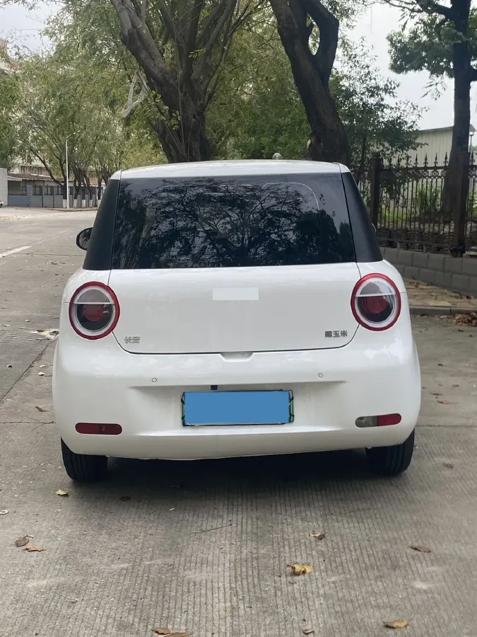 2023 ChangAn QiYuan Lumin BEV 17.65KWH,autocango,china used car exporter,china ev exporter,chinese used car exporter,chinese used ev exporter