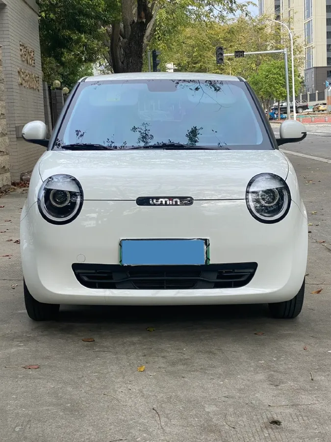 2023 ChangAn QiYuan Lumin BEV 17.65KWH,autocango,china used car exporter,china ev exporter,chinese used car exporter,chinese used ev exporter