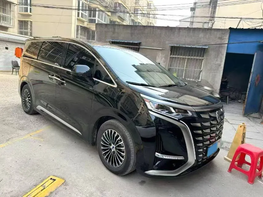 2024 Denza D9 1.5T 139HP L4 E-CVT PHEV 40KWH,autocango,china used car exporter,china ev exporter,chinese used car exporter,chinese used ev exporter