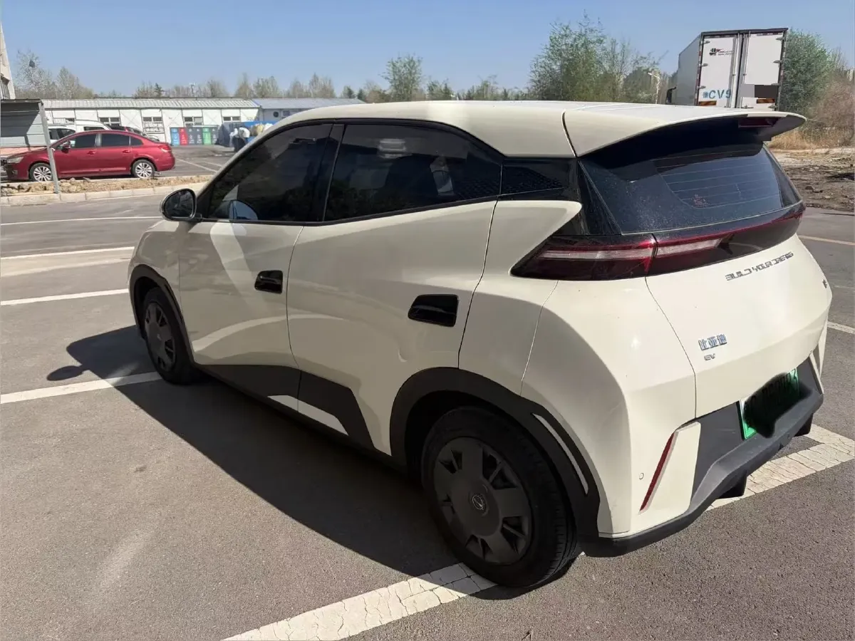 2024 BYD Seagull BEV 30.08KWH,autocango,china used car exporter,china ev exporter,chinese used car exporter,chinese used ev exporter