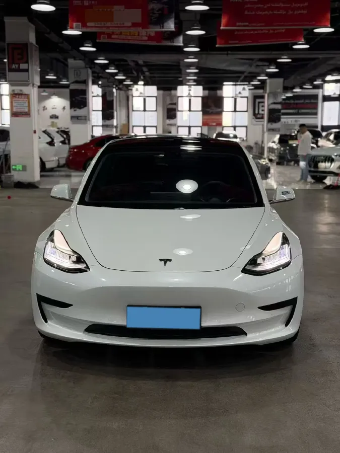 2020 Tesla Model 3 BEV 52KWH,autocango,china used car exporter,china ev exporter,chinese used car exporter,chinese used ev exporter