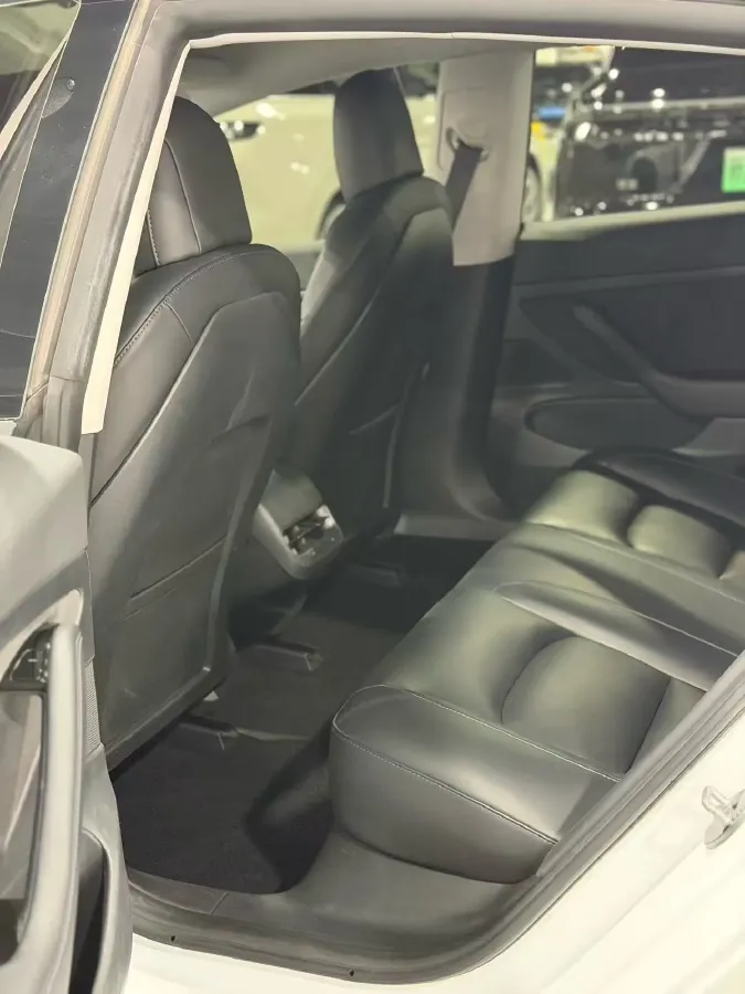 2020 Tesla Model 3 BEV 52KWH,autocango,china used car exporter,china ev exporter,chinese used car exporter,chinese used ev exporter