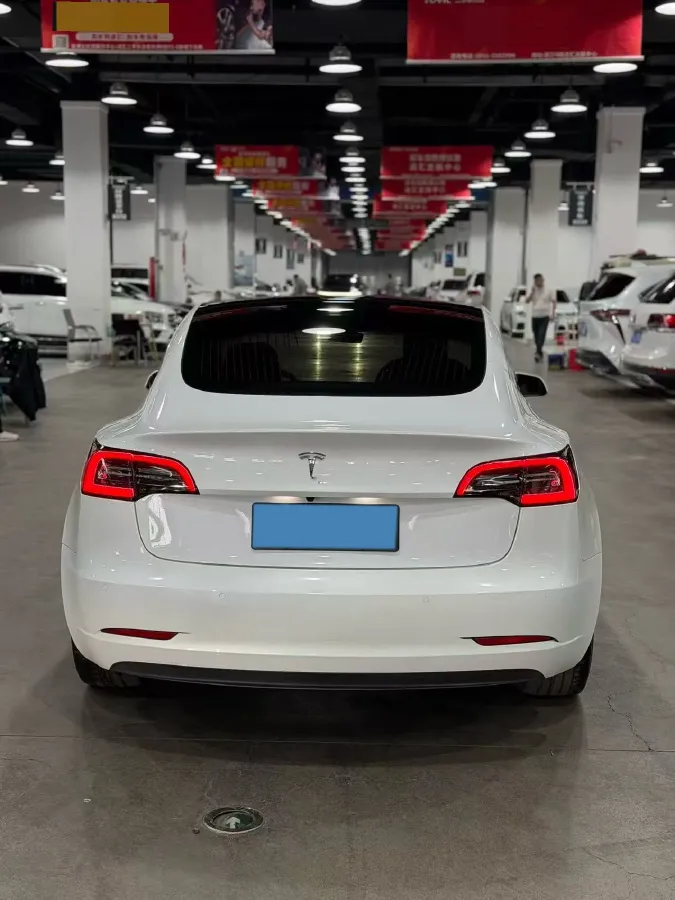 2020 Tesla Model 3 BEV 52KWH,autocango,china used car exporter,china ev exporter,chinese used car exporter,chinese used ev exporter