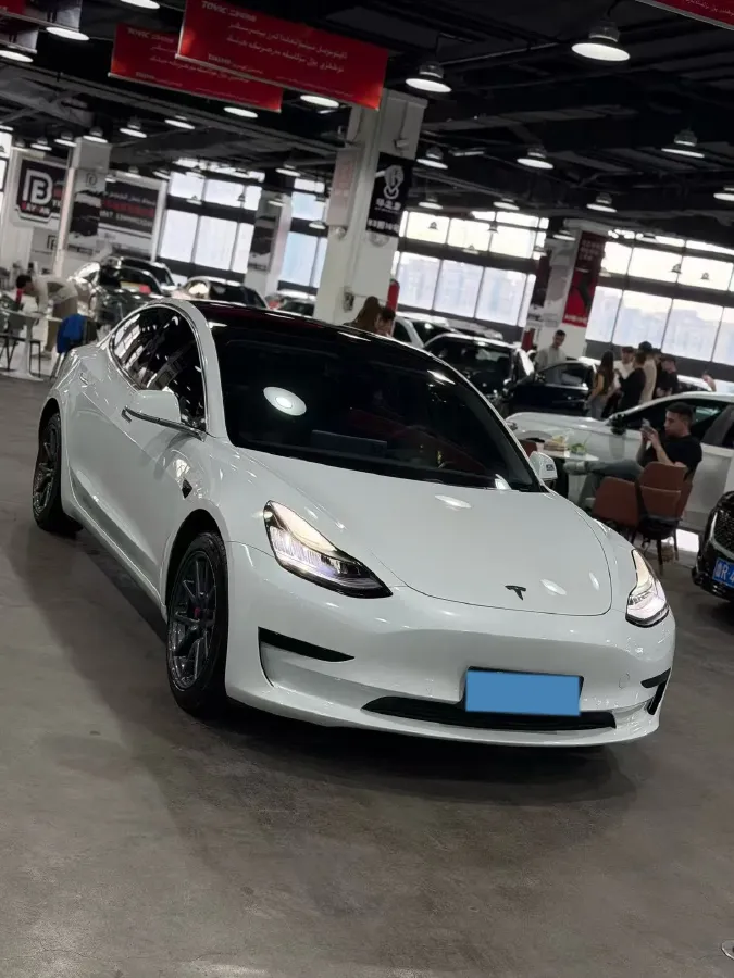 2020 Tesla Model 3 BEV 52KWH,autocango,china used car exporter,china ev exporter,chinese used car exporter,chinese used ev exporter