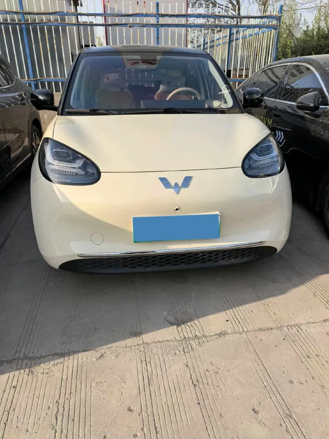 2024 WuLing BinGuo BEV 37.9KWH,autocango,china used car exporter,china ev exporter,chinese used car exporter,chinese used ev exporter