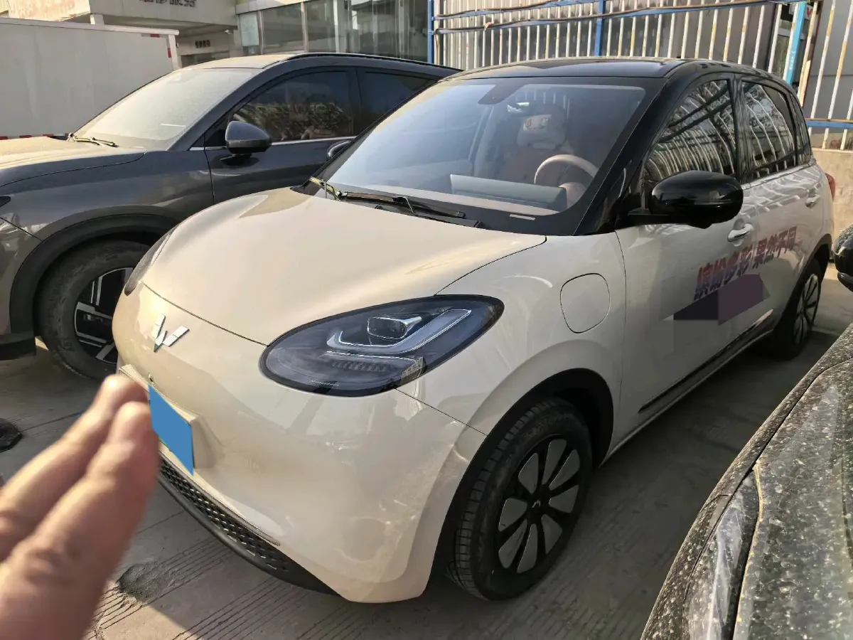 2024 WuLing BinGuo BEV 37.9KWH,autocango,china used car exporter,china ev exporter,chinese used car exporter,chinese used ev exporter