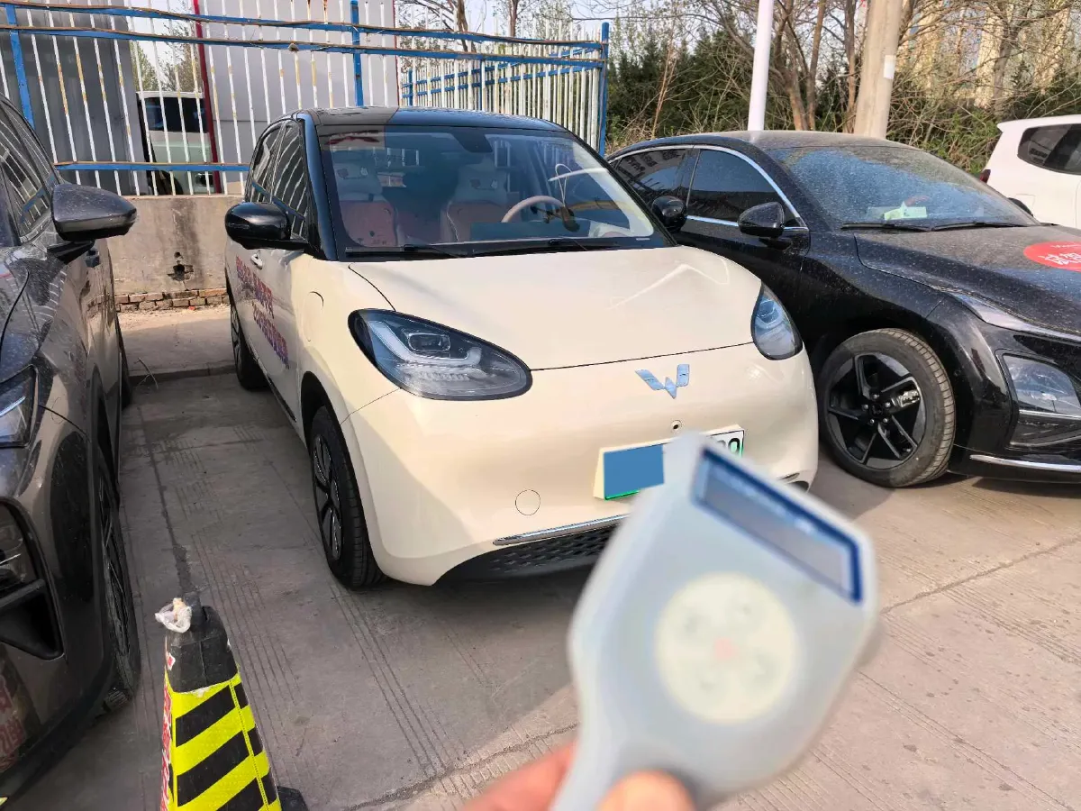 2024 WuLing BinGuo BEV 37.9KWH,autocango,china used car exporter,china ev exporter,chinese used car exporter,chinese used ev exporter