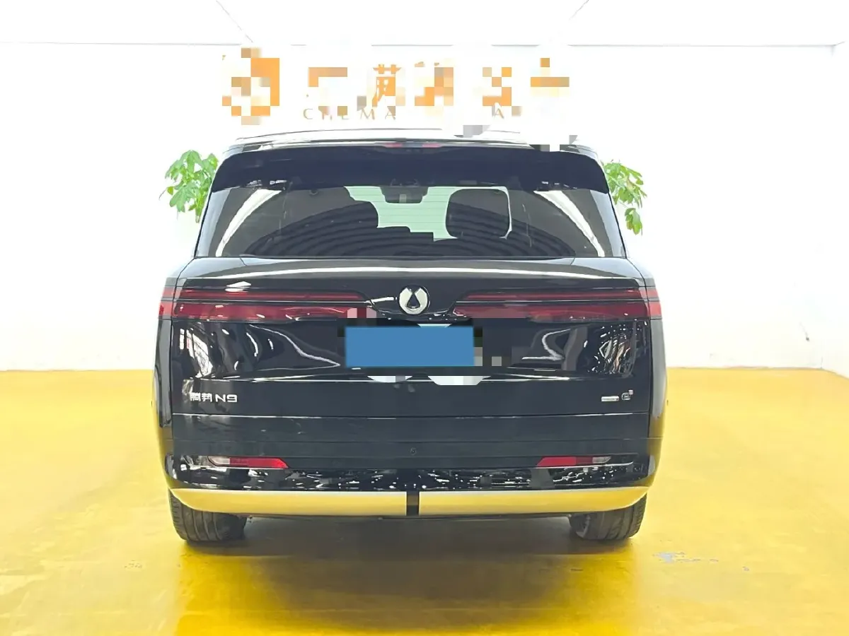 2026 Denza DenzaN9 2.0T 207HP L4 E-CVT PHEV,autocango,china used car exporter,china ev exporter,chinese used car exporter,chinese used ev exporter