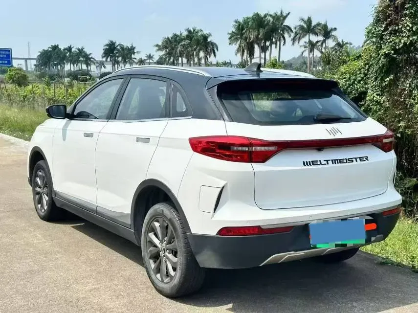 2019 Weltmeister EX5 BEV 52.56KWH,autocango,china used car exporter,china ev exporter,chinese used car exporter,chinese used ev exporter